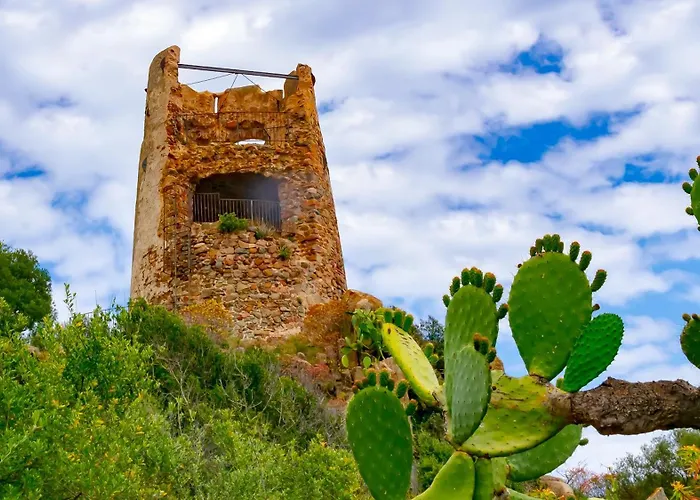 Nyaraló Wind Rose Girasole