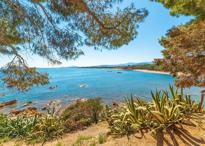 Wind Rose * Girasole