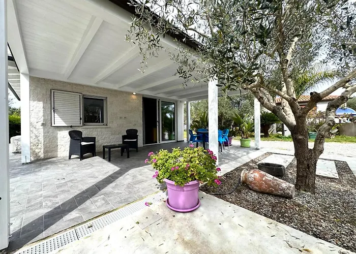 Nyaraló Wind Rose *